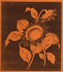 切り絵図案型紙:花１（向日葵）