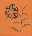 図案入り型紙「夏の花－１０」
