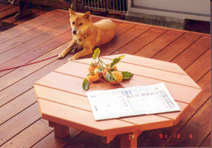 柿渋３回塗りのレッドウッドテーブル