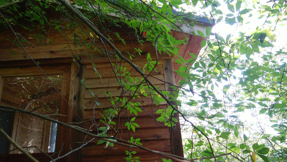 伊豆山杜の美術館様より：小屋の外壁に柿渋塗装（3）