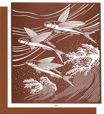 型紙付き図案-海の生き物-9（飛魚）