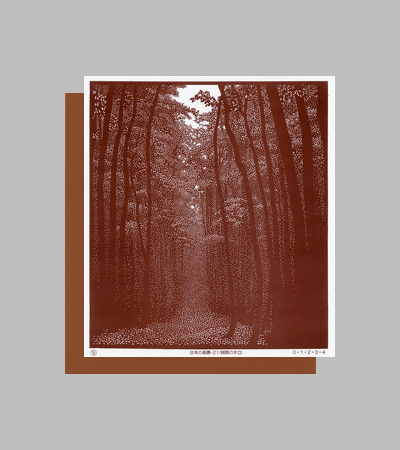 型紙付き図案：日本の風景-２１【朝霧の木立】
